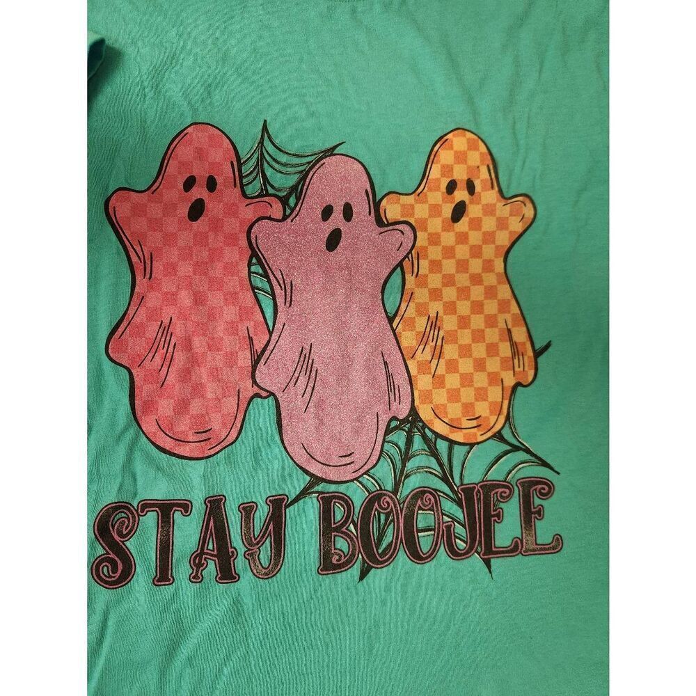 NWOT Canvas 2x "Stau Boojee" in teal